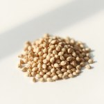 Seeds Flowers (Linum grandiflorum) Flowers