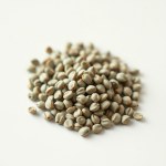 Seeds 20 Seed Common (Mentha spicata)