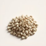 Seeds 100 Seed (Mentha piperita)