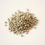 Seeds 20 Seed (Mentha × villosa)