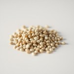 Seeds 30 Seeds (Mentha arvensis)