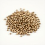 Seeds ml 30 Seed (Melissa officinalis) ml
