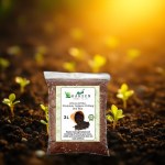 Luxury Agricultural Soil - 3L