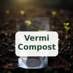 Organic Vermi Compost