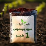 Enriched Peat Moss Soil 1 kg