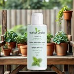 Mint Oil 50ml