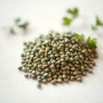 Rocket Seeds 20g