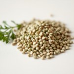 بذور البقدونس 25 جرام