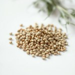 Dill Seeds 20g