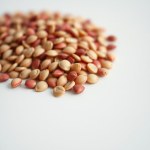 Watermelon Seeds 7g