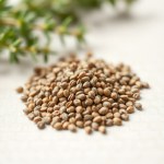 Marjoram Seeds 10g