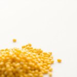 Yellow Corn Seeds 40g