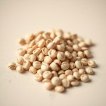 Local Green Broad (Fava) Bean Seeds 50g