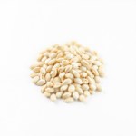 Cabbage Seeds 5g