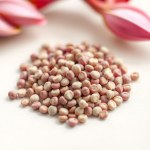 Lablab Vine Seeds 4g (Hyacinth Bean)