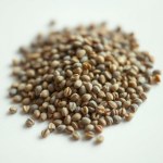 Basil Seeds 25g