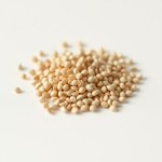 Chamomile Seeds 4g