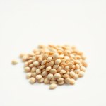 Seeds Flowers 6 g