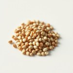 Seeds 10 g