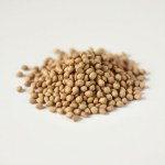 Seeds 5 g