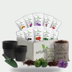 Agricultural Sciences Project Box
