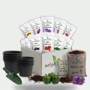 Agricultural Sciences Project Box