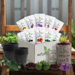 Agricultural Sciences Project Box