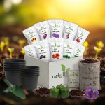 Agricultural Sciences Project Box