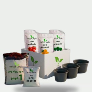 Green March Box