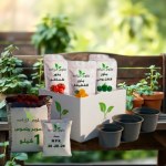 Green March Box