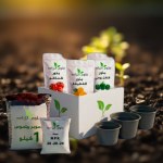 Green March Box
