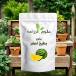 بطيخ اصفر