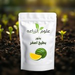 بطيخ اصفر
