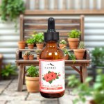 Hibiscus Oil 50ml