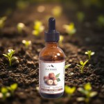 Macadamia Oil 50ml