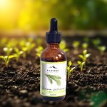 Horsetail Oil 50ml
