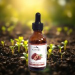 Kernel Dates Oil 50ml