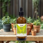 Rosemary Oil 100ml