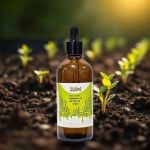 Rosemary Oil 100ml