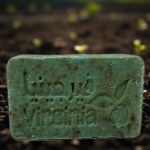 Rosemary Soap