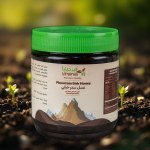 عسل نحل سدر جبلي برطمان 400 جم فيرجينيا