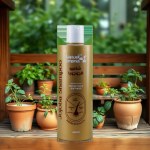 Jojoba Shampoo Hair Oil 450ml