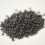 Black Seed Oil 30ml