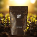 Shimmering Coffee Mocha Scrub