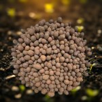 Expanded Clay Pebbles 1.8kg for Hydroponics