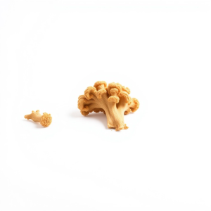 ميكوريزا (Mycorrhiza) 800جرام